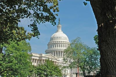 A Capitol View (Part 2)