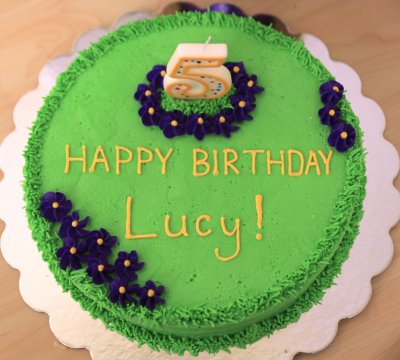 Lucy's 5th Birthday Party - 2011