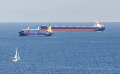 Belred07.jpg