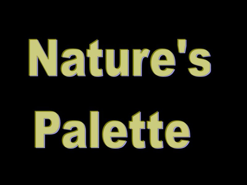Natures Palette
