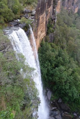 Fitzroy Falls - see the video