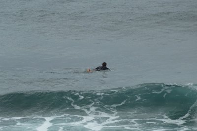 Alone in the Ocean - catching wave in winter