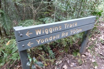 Wiggins Track is an alternate Exit