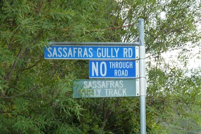 Sassafras Gully Road