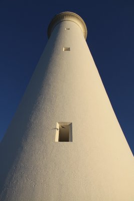 Bird and Lighthouse window