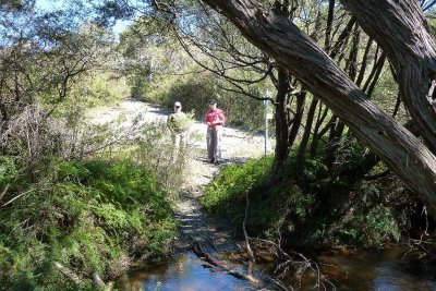 Dams at Bell