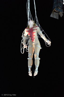 DSF_4794.jpg