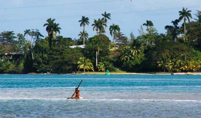 Rowing the West Harbour