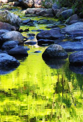 The Green Spill of Spring