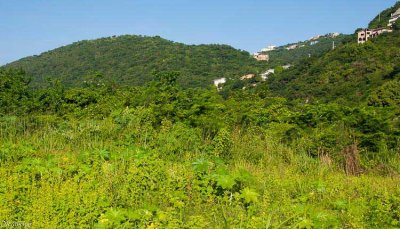 Red Hills