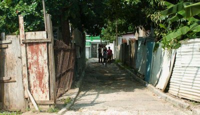 The Shaded Lane