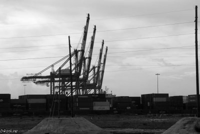 Cranes