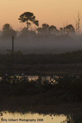 Merritt Island Wildlife Preserve