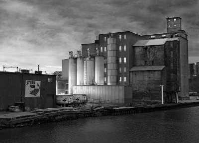 IMG_5356bw_web.jpg