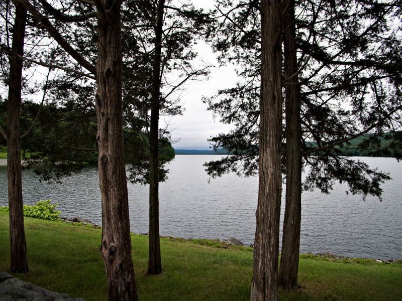 Through the trees