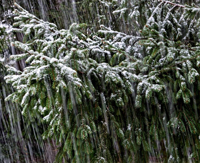 First winter storm - Alfred #2