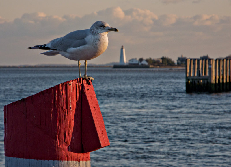 Old Saybrook Point