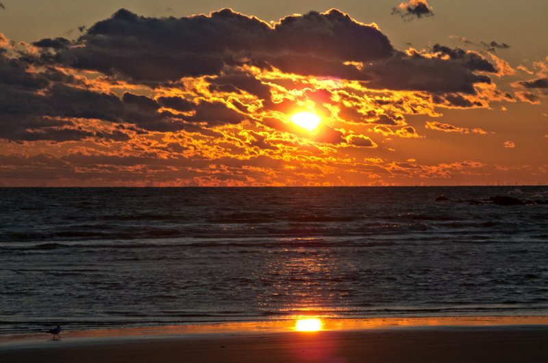 Sunset and bird - Town Beach, Old Saybrook