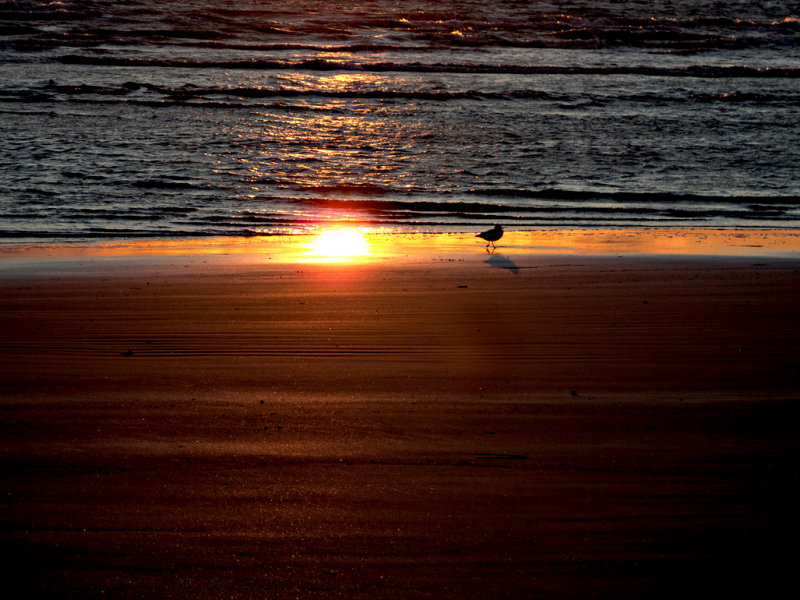 Strolling at sunset - Town Beach, Old saybrook