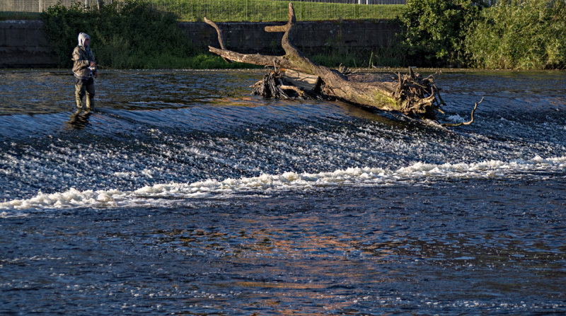 The River Lee