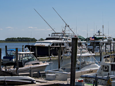 Cedar Island Marina