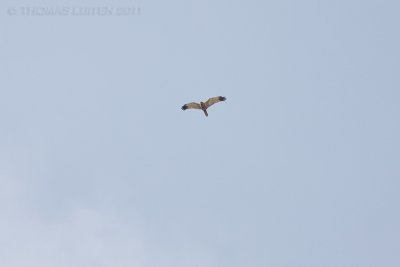 g4/01/753501/3/133236272.wImygheI.jpg