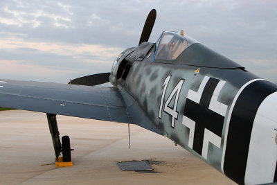 30   NX190RF FW190 A-9 replica