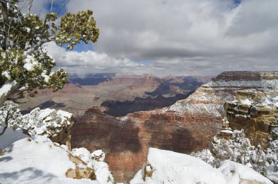 Grand Canyon National Park, Arizona - April 9, 2011