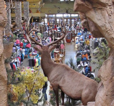 0213 A Buck Eye view