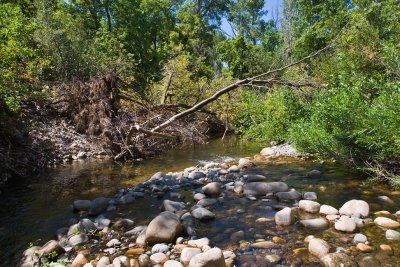 Avon 69  5243 <b>East fork of Little Bear River</b>