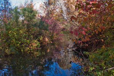 Avon 140  5494 River out back sporting fall colors
