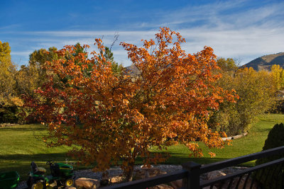 Avon 146  5505  From the deck this morning