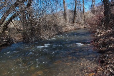 6419 Signs of spring
