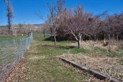 6423 Signs of spring