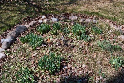 Signs of spring