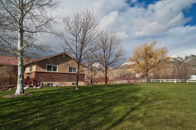6459 Front Yard