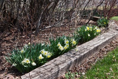 6413 Signs of spring