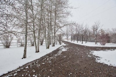 6439 And then it snowed