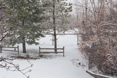 6438 And then it snowed
