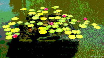 Balboa Park, San Diego, California