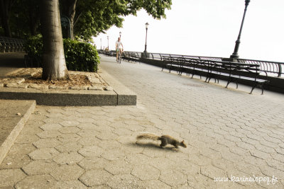 Battery Park