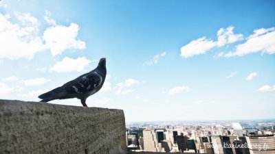 Empire State Building