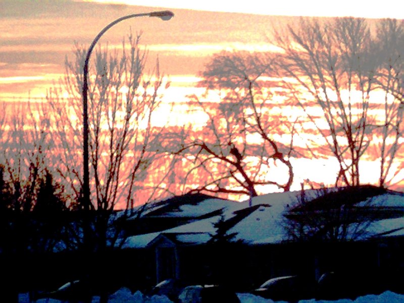 Photo003.jpg