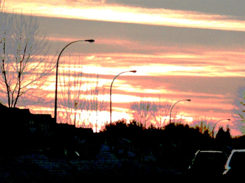 Photo004.jpg