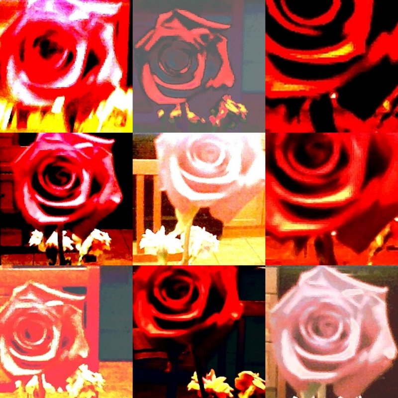 collage80.jpg