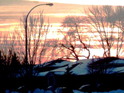 Photo003.jpg
