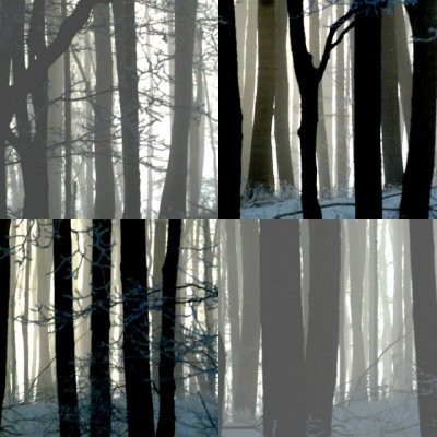 collage2.jpg