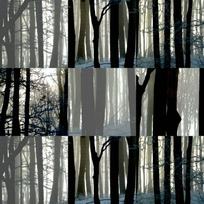 collage3.jpg