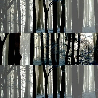collage5.jpg