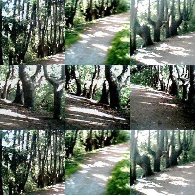 collage8.jpg